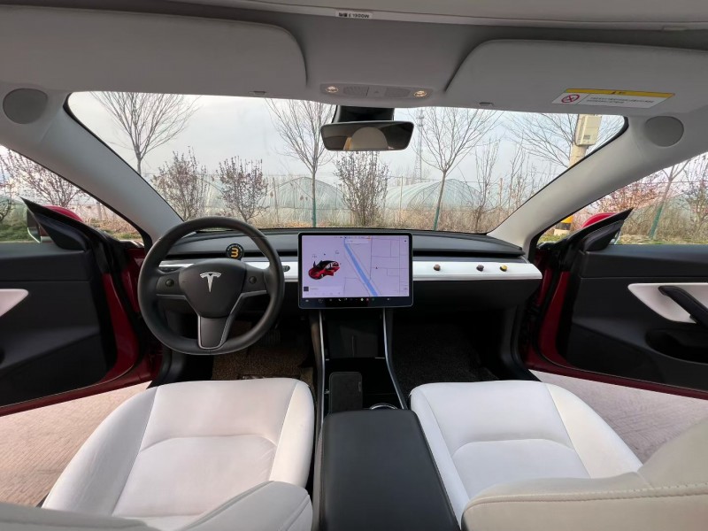 徐州20年特斯拉MODEL 37