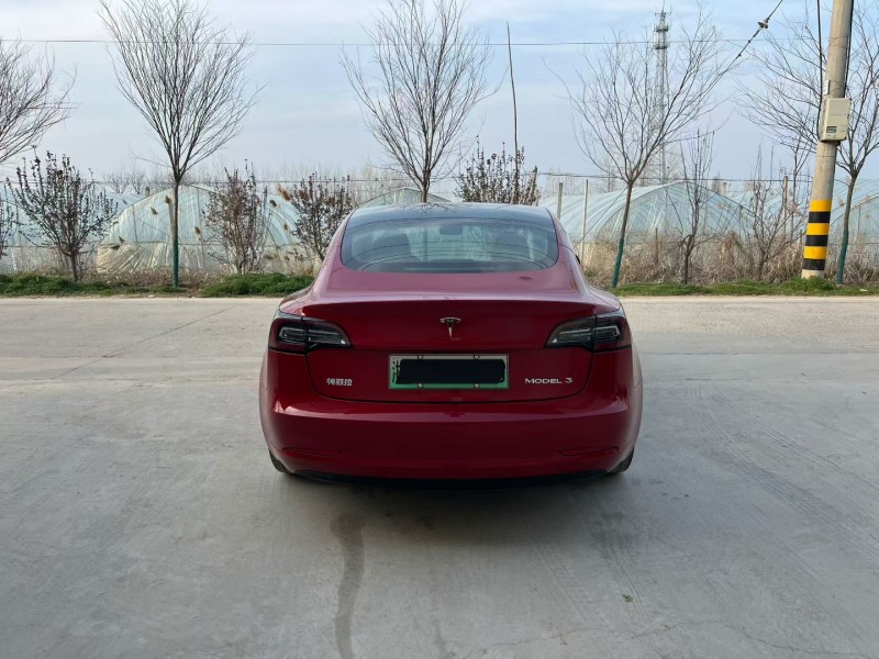 徐州20年特斯拉MODEL 39