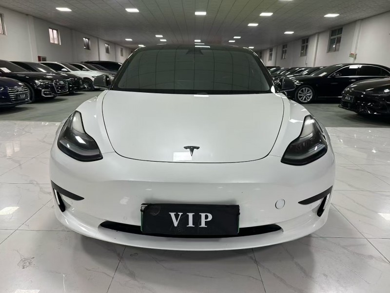 廊坊21年特斯拉MODEL 31