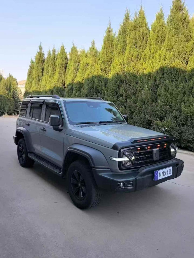 潍坊22年长城汽车坦克2