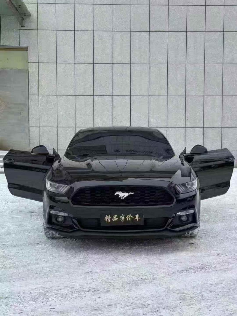 吉林16年福特野马1