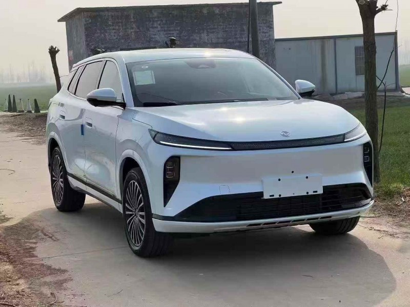 枣庄26年东风风神2