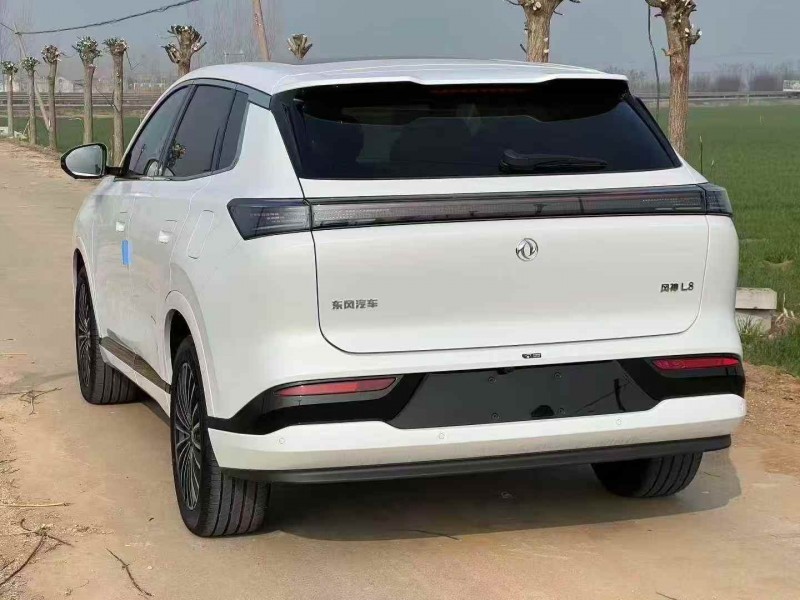 枣庄26年东风风神8