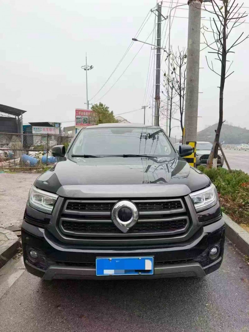 張家界25年長城汽車炮 皮卡1