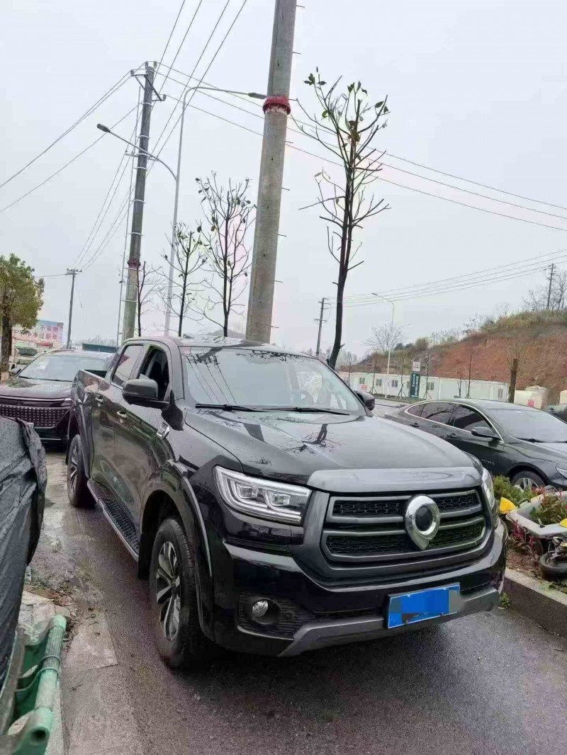 張家界25年長城汽車炮 皮卡2