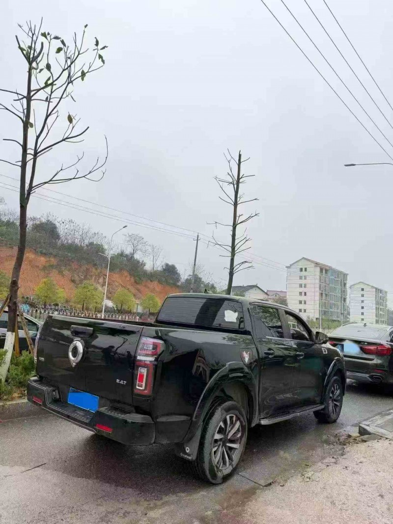 張家界25年長城汽車炮 皮卡7