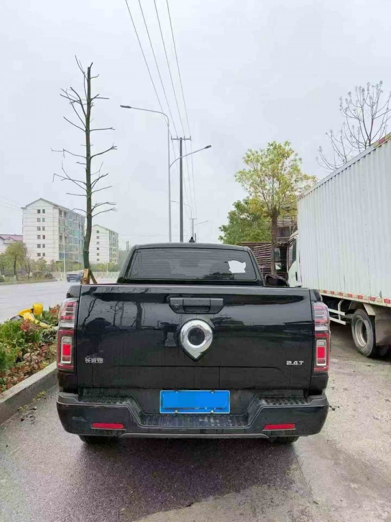 張家界25年長城汽車炮 皮卡9