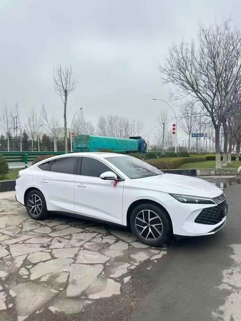 菏泽25年比亚迪秦3