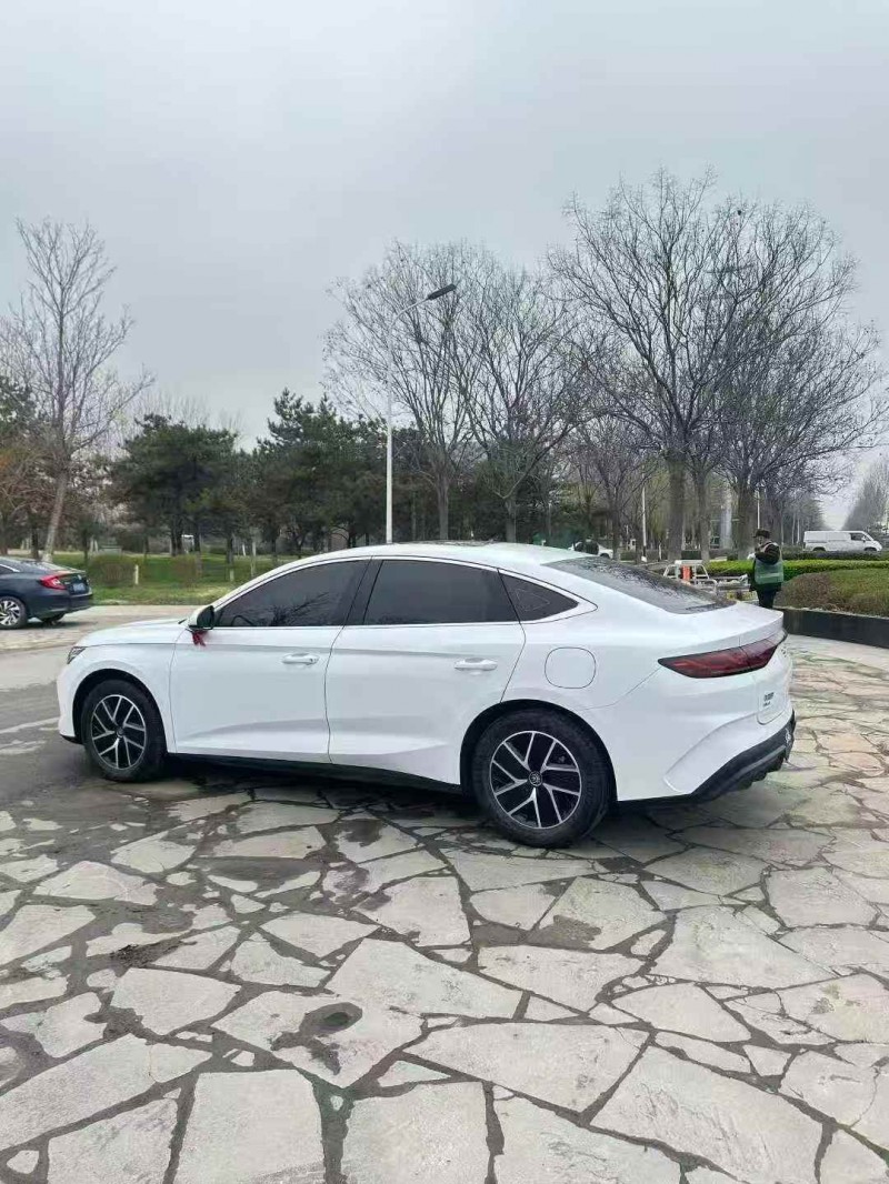 菏泽25年比亚迪秦8