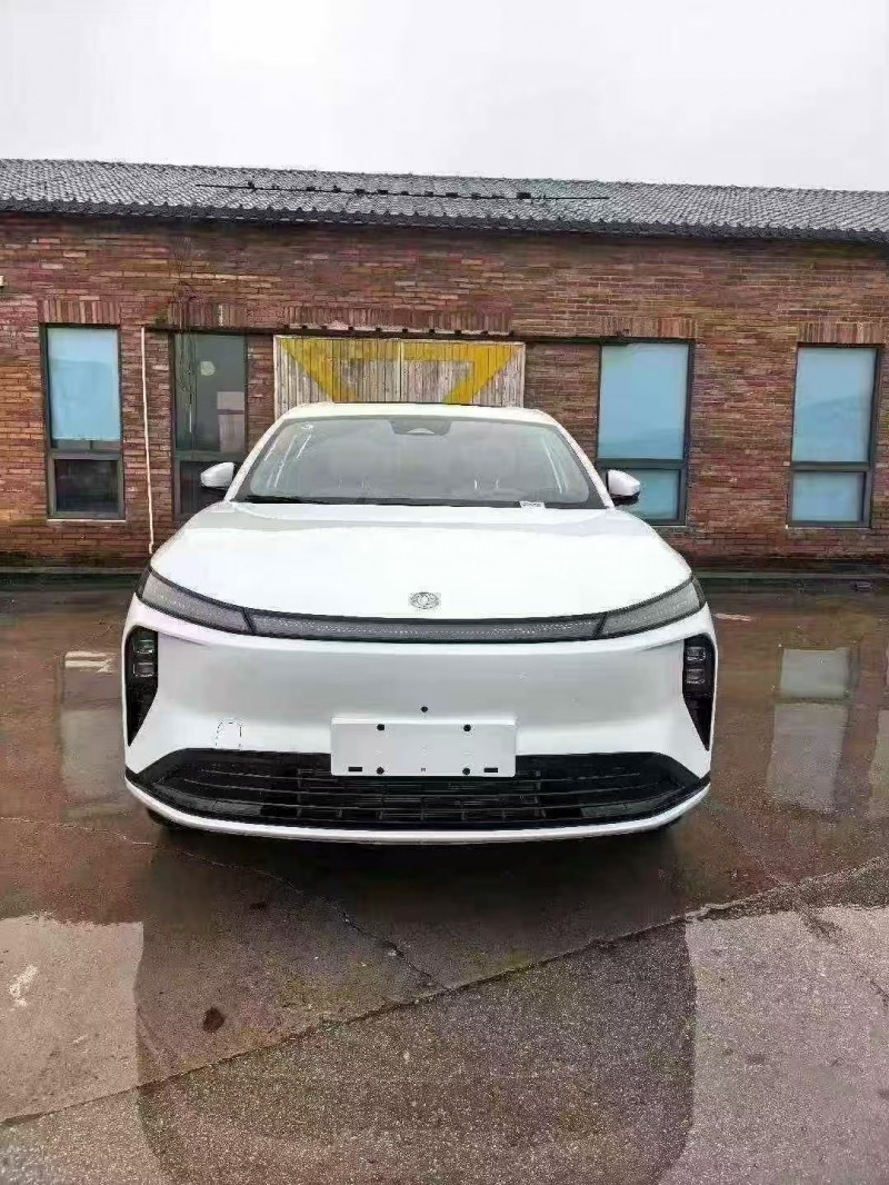 平顶山25年东风风神1