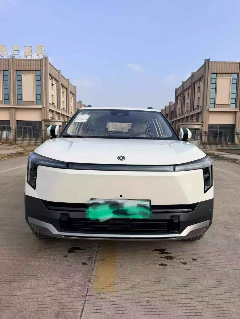 东营25年东风纳米1