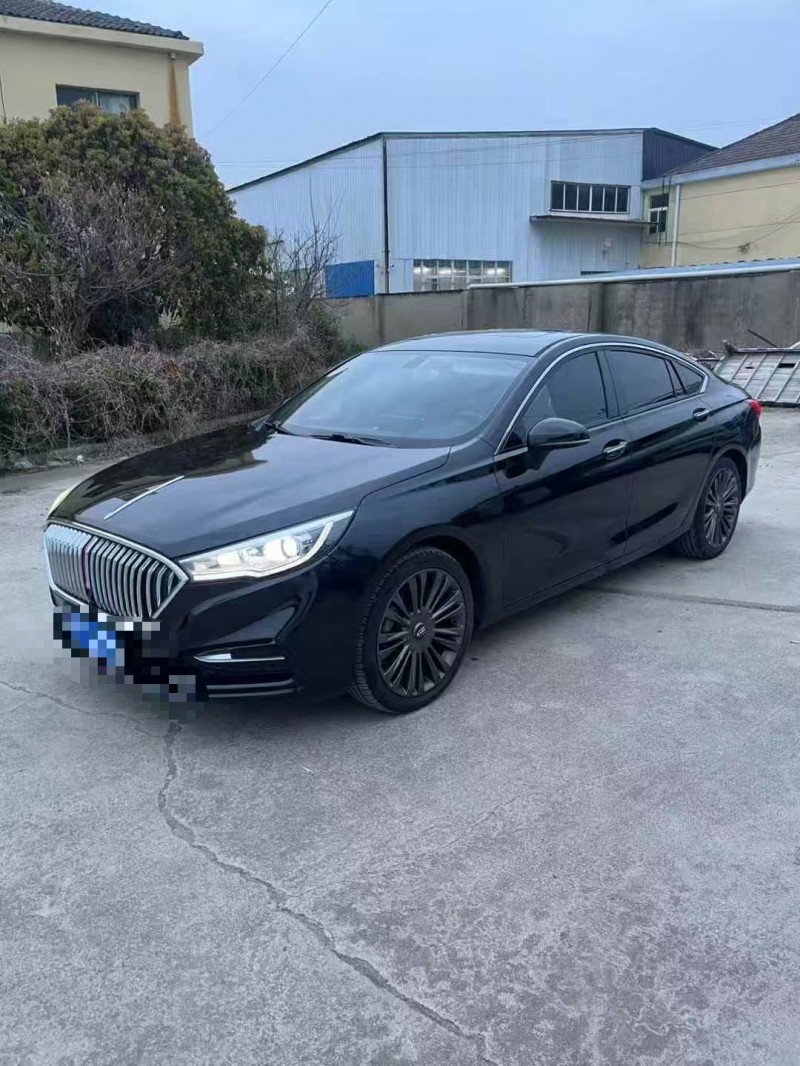 蚌埠21年红旗H53