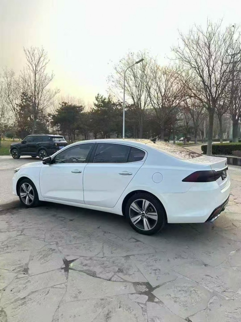 菏泽18年起亚凯绅8