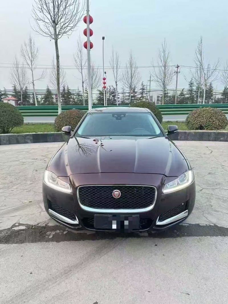 菏泽20年捷豹XFL1