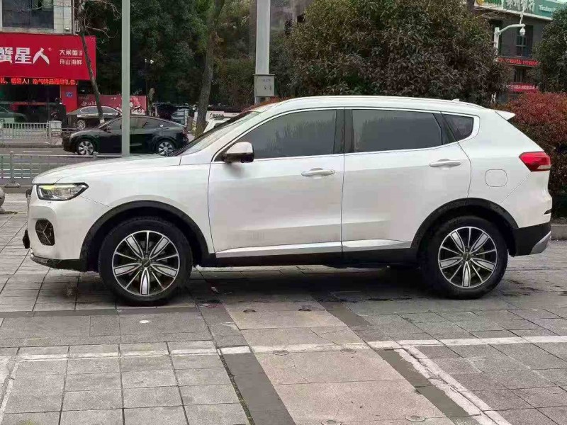 衢州20年哈弗H63