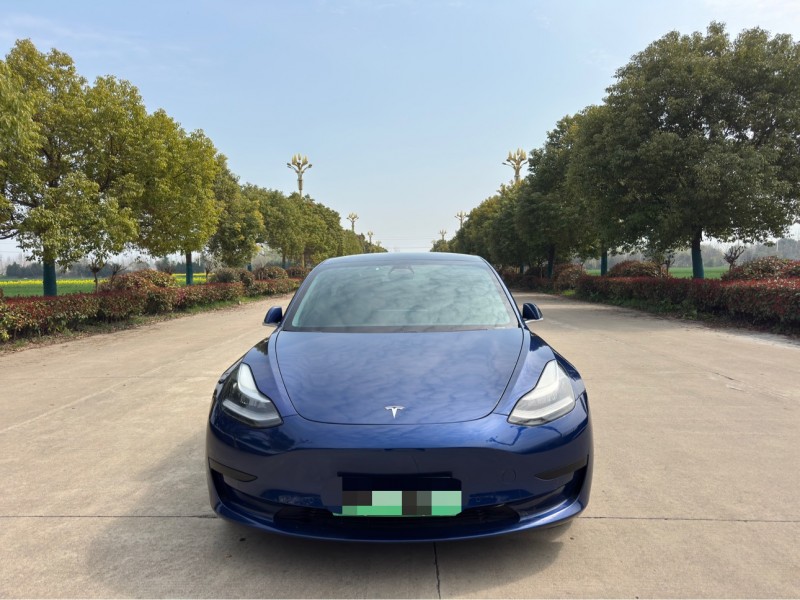 盐城20年特斯拉MODEL 31