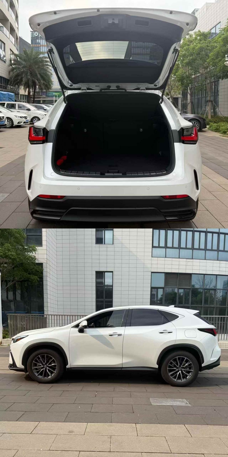 佛山24年雷克萨斯NX6