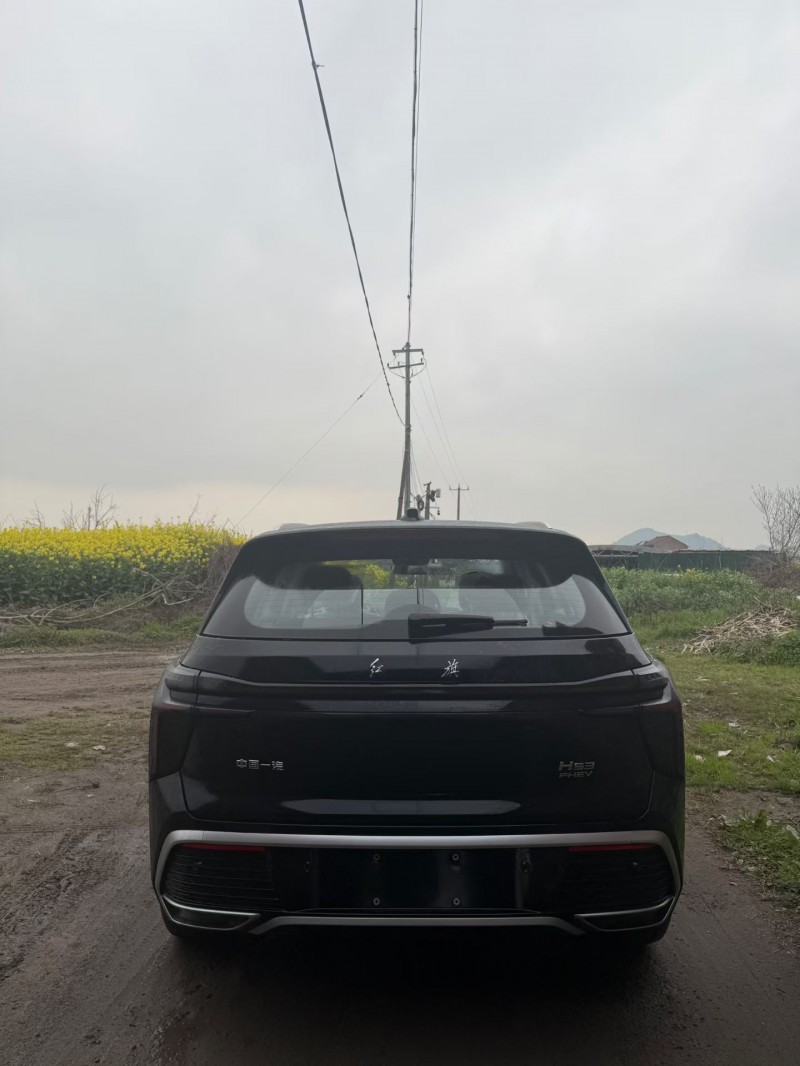 绍兴26年红旗HS34