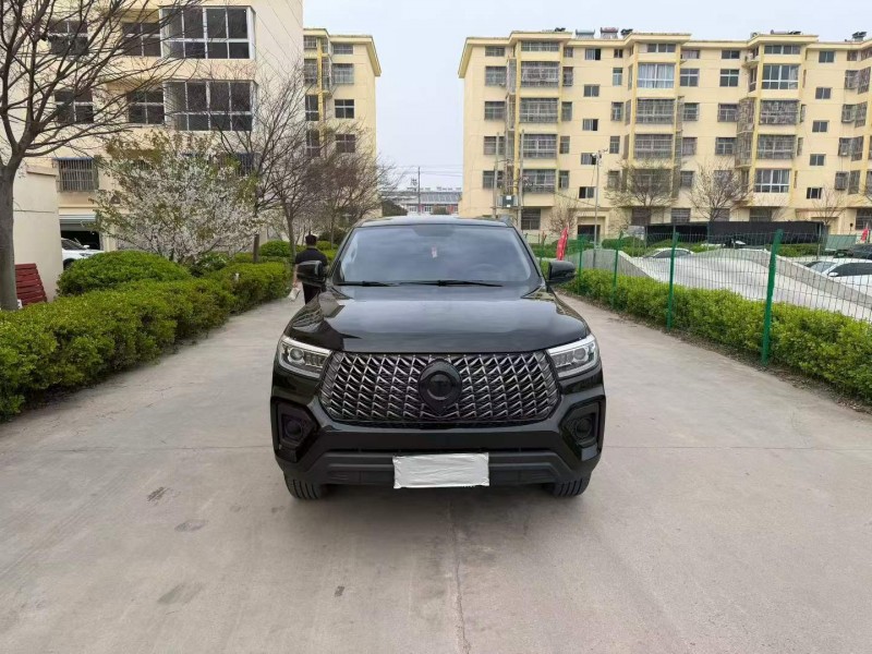 徐州25年长城汽车炮 皮卡1