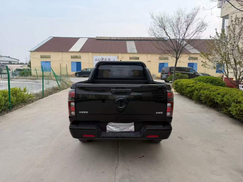 徐州25年长城汽车炮 皮卡9