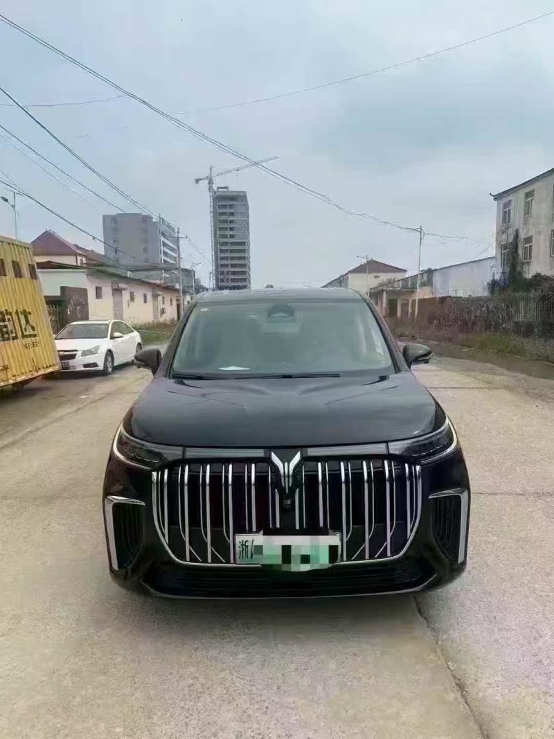 菏泽24年岚图汽车梦想家1