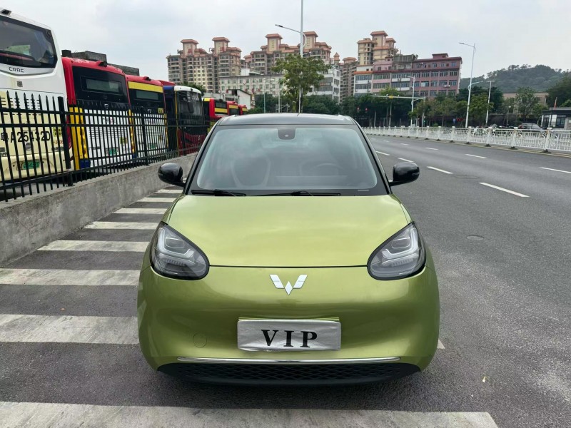 广州23年五菱汽车缤果1