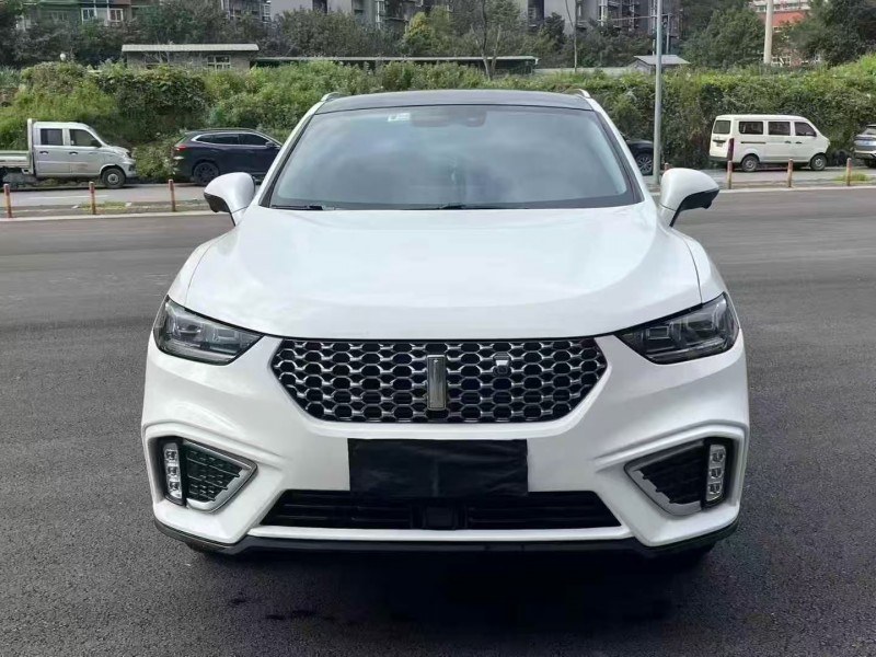 重庆21年长城汽车魏牌1