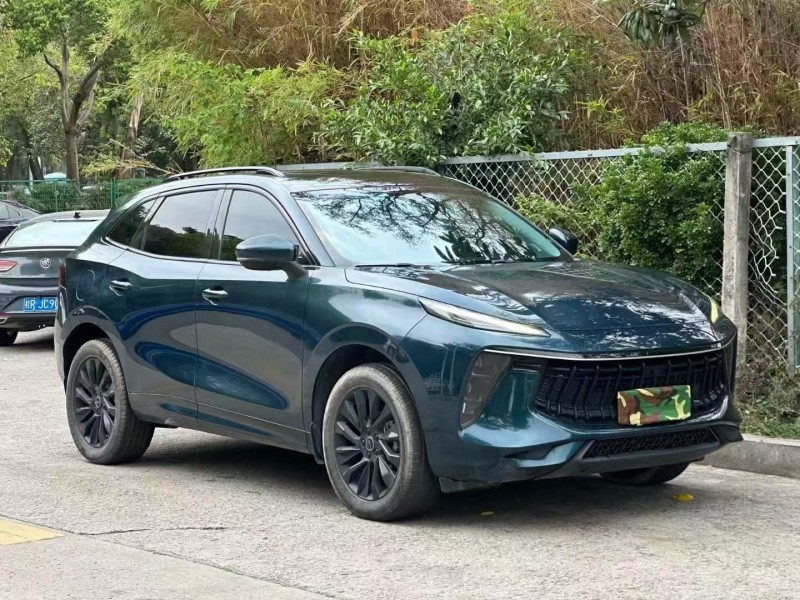 广州21年东风风行2