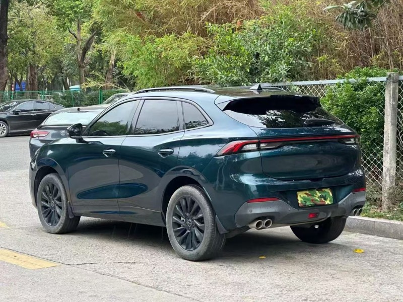 广州21年东风风行4