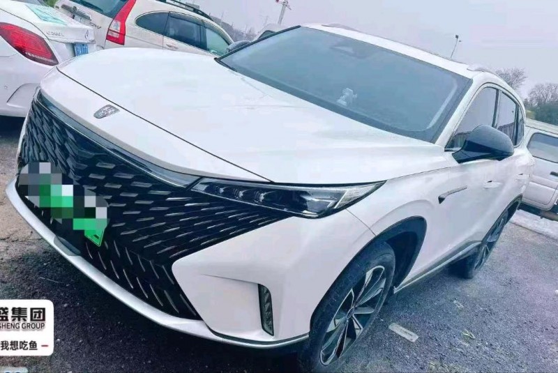 邵阳24年荣威ERX51