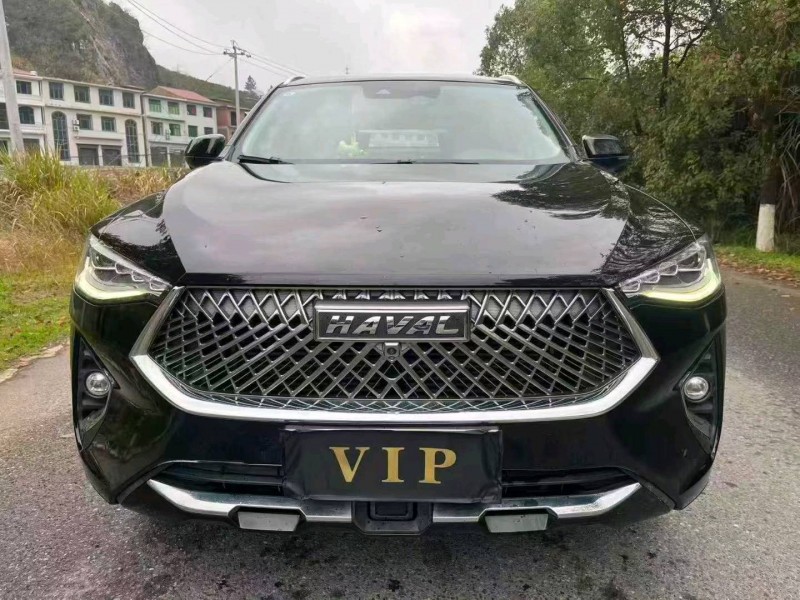 新余21年哈弗F7x1