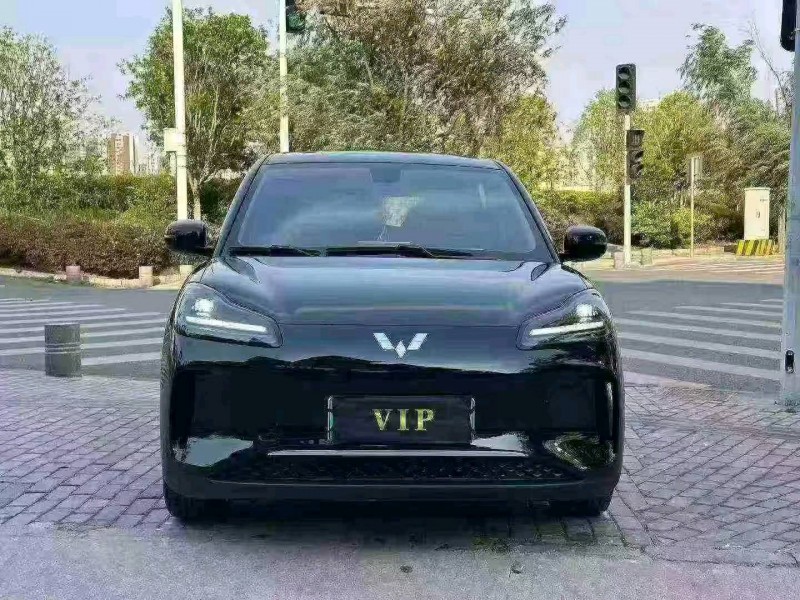 襄阳24年五菱汽车缤果1