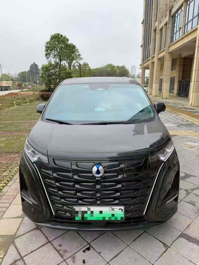 吉安23年腾势D91