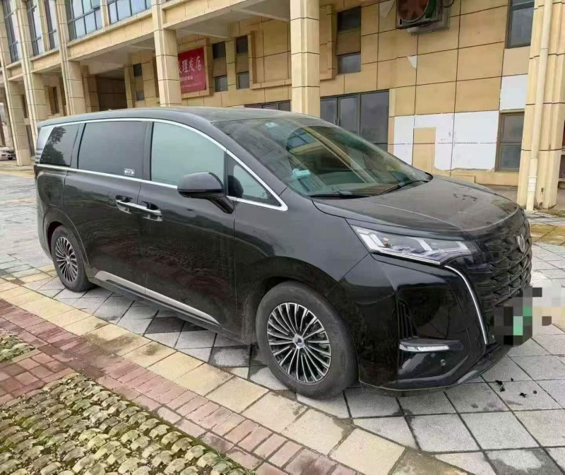 吉安23年腾势D93