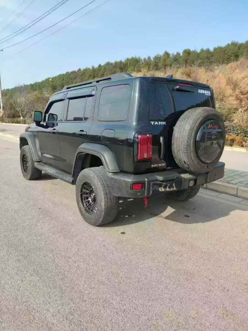 潍坊23年长城汽车坦克7