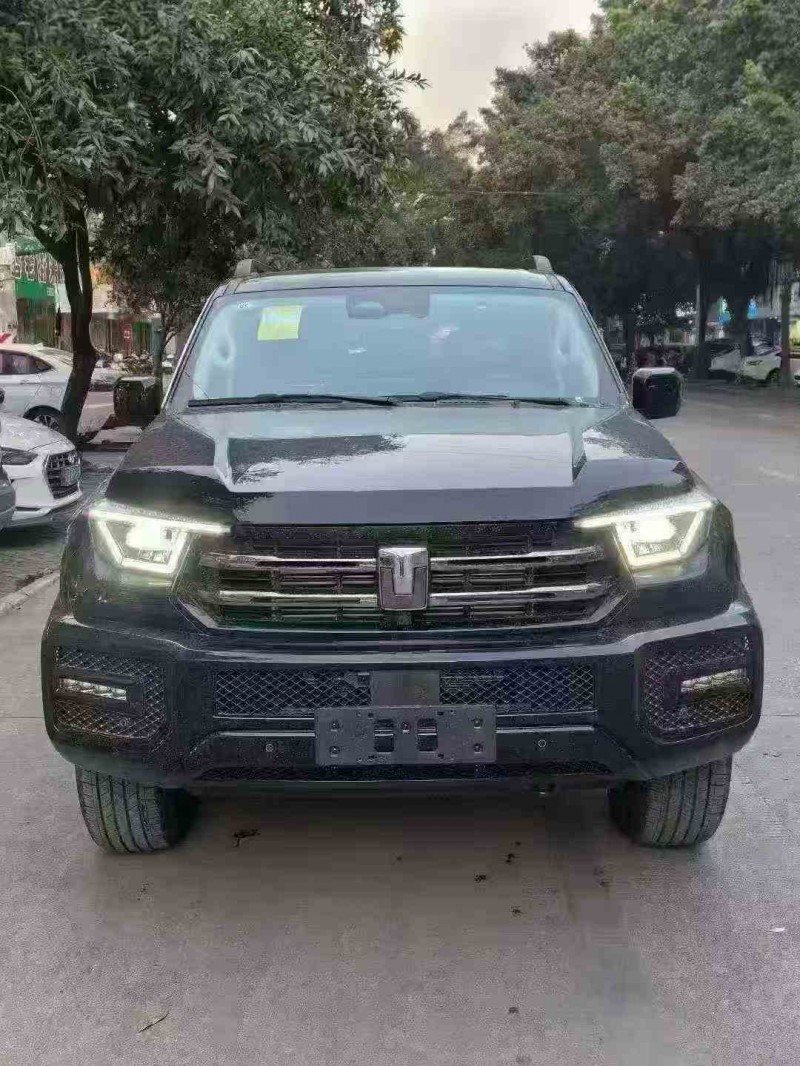 湛江26年长城汽车炮 皮卡1