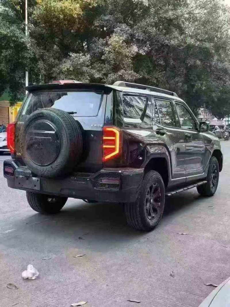 湛江26年长城汽车炮 皮卡6