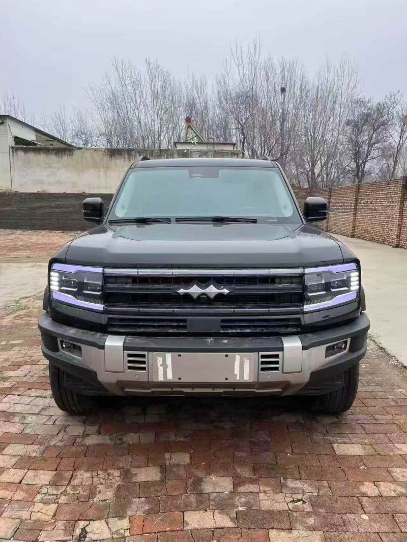 东营25年比亚迪方程豹1