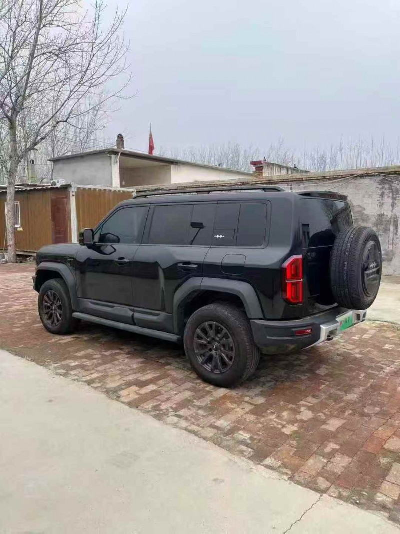 东营25年比亚迪方程豹7