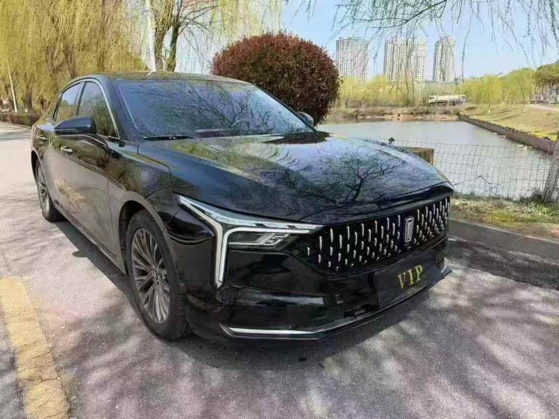 新余24年奔腾B703