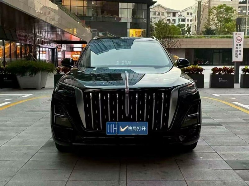 广州24年红旗HS51