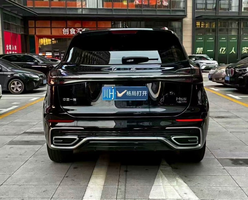 广州24年红旗HS59