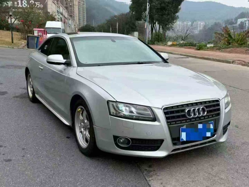 莆田09年奥迪A52