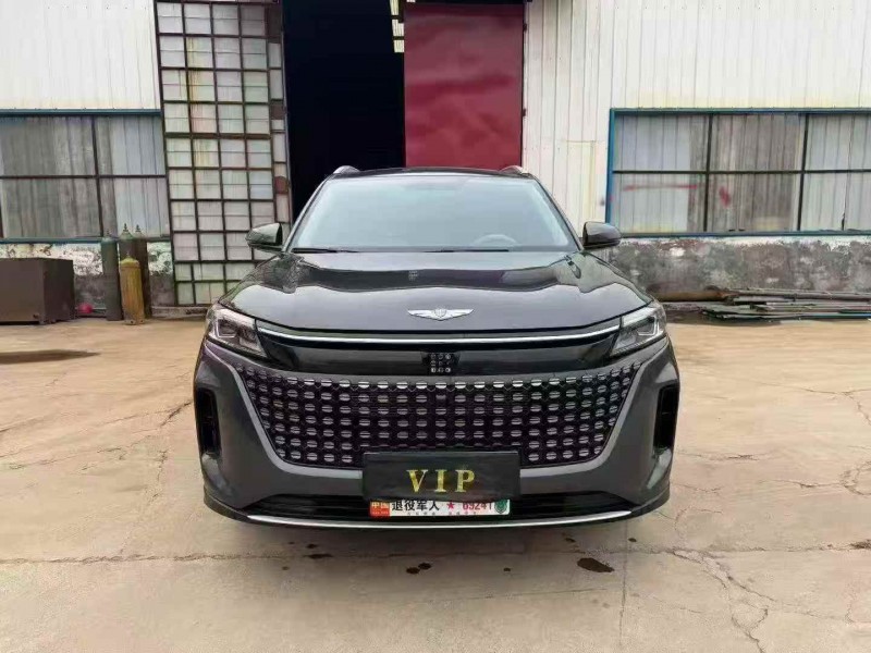 枣庄24年东风蓝电E51