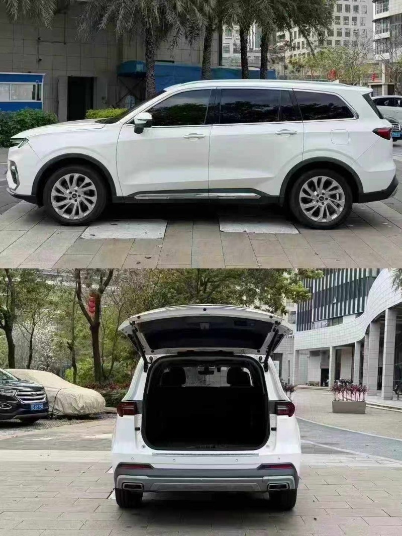 佛山22年福特领裕6