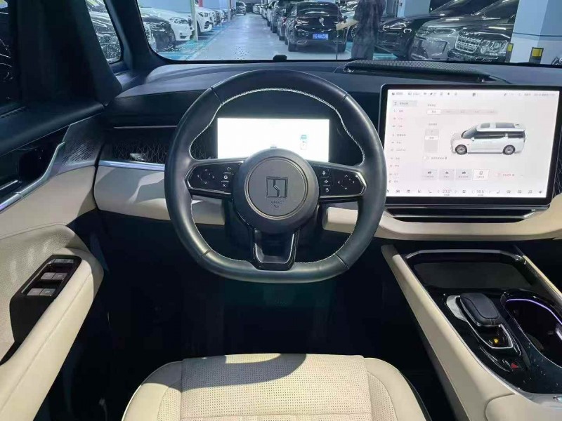 广州24年极氪汽车0094