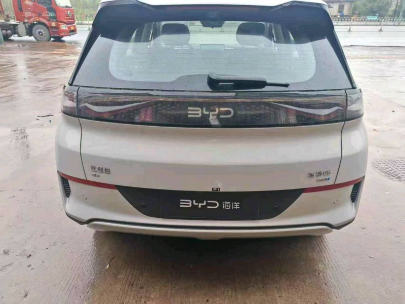 襄阳26年比亚迪海狮2