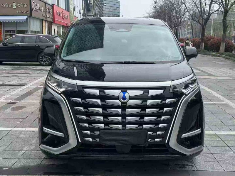 嘉兴24年腾势D91