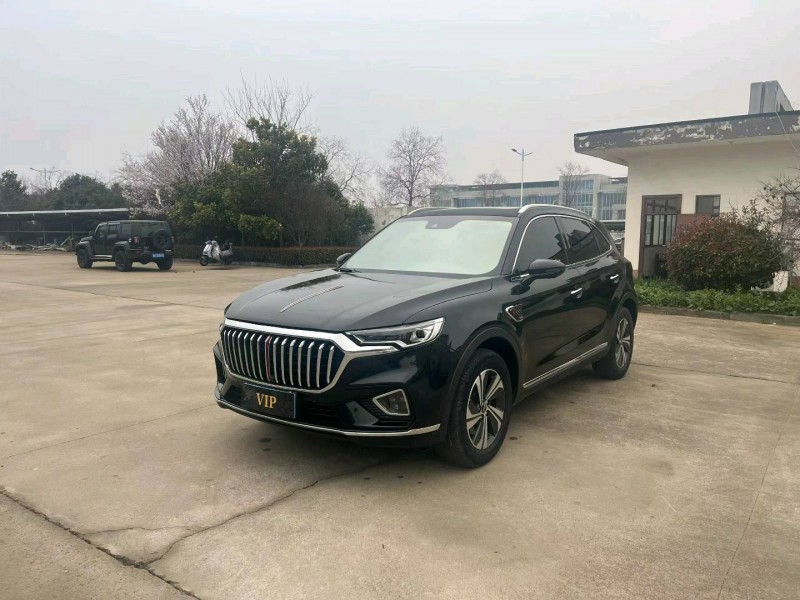 徐州21年红旗HS53