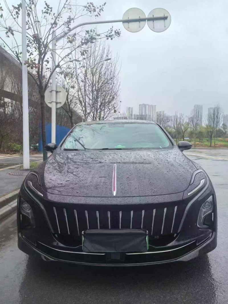 衡阳24年红旗E-QM51